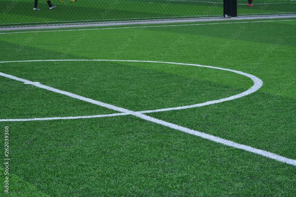 Obraz premium Stadium of football or soccer field with green grass