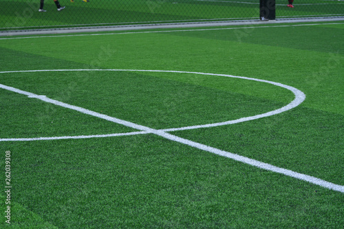 Stadium of football or soccer field with green grass