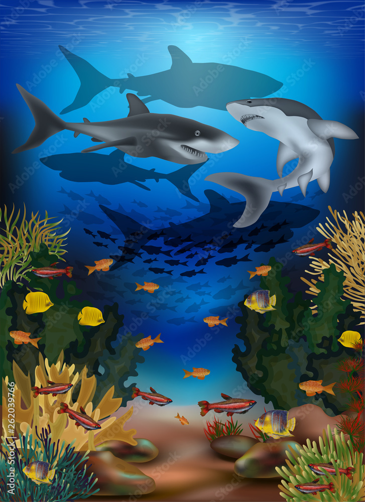 Fototapeta premium Underwater banner with tropical fish and sharks, vector illustration