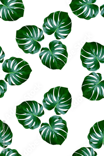 Fabric pattern with palm leaves on a white background