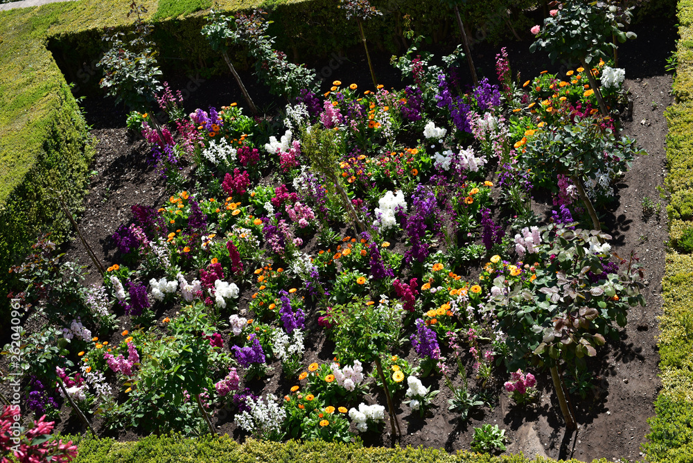 Flower garden in Granada, Spain