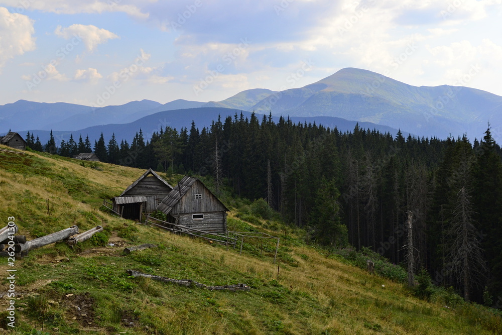 Old wooden hut of shepherds (cowherds.) on a meadow (polonyna) near the pine forest and view to the Chornohora mountain range with Hoverla peak (highest point of Ukraine)