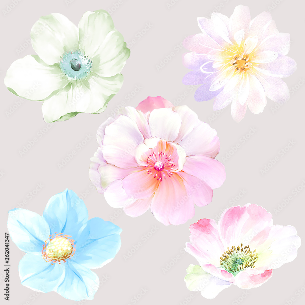 Flowers watercolor illustration Flowers watercolor illustration