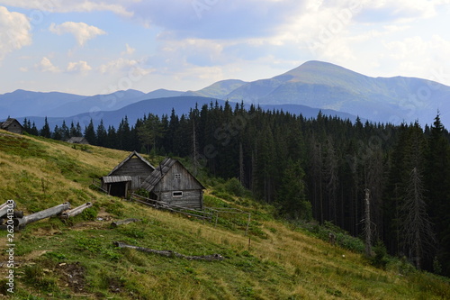 Old wooden hut of shepherds (cowherds.) on a meadow (polonyna) near the pine forest and view to the Chornohora mountain range with Hoverla peak (highest point of Ukraine)