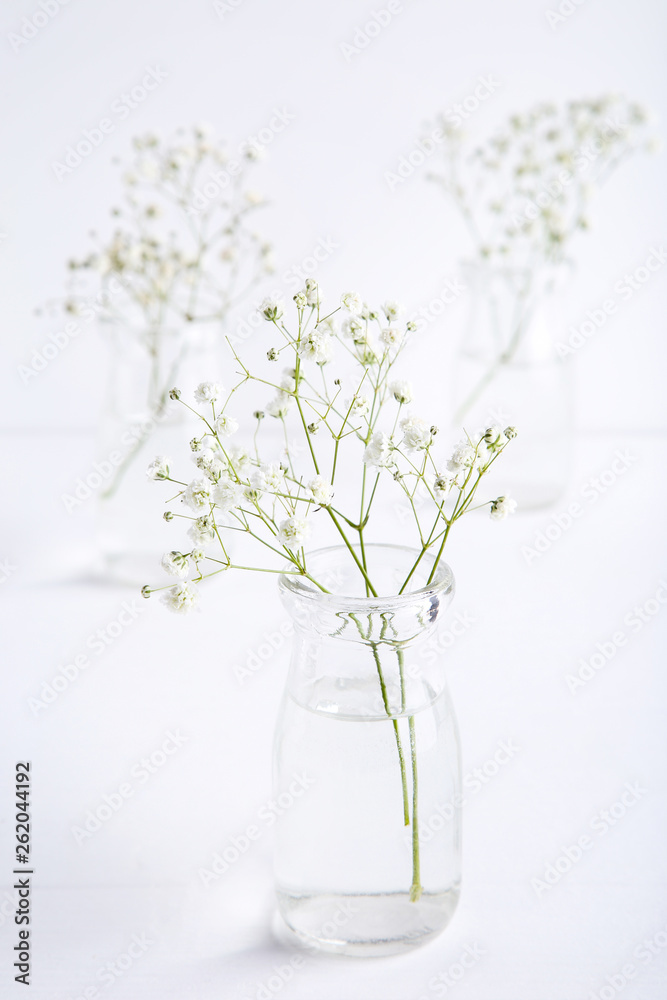 White gypsophila flowers in glass bottle on grey background White gypsophila flowers in glass bottle on grey background