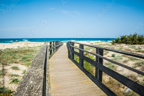 wooden path to the beach © replica73