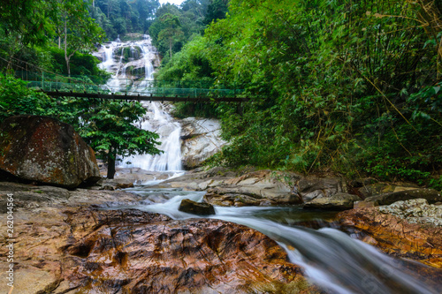 waterfall in the forest