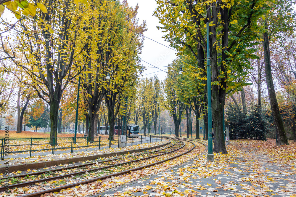 Park in the center of Turin in the autumn Park in the center of Turin in the autumn
