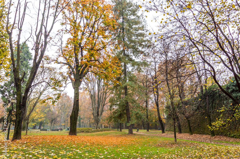 Park in the center of Turin in the autumn Park in the center of Turin in the autumn