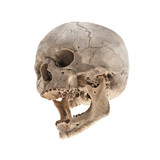 An old human skull with a jaw without teeth
