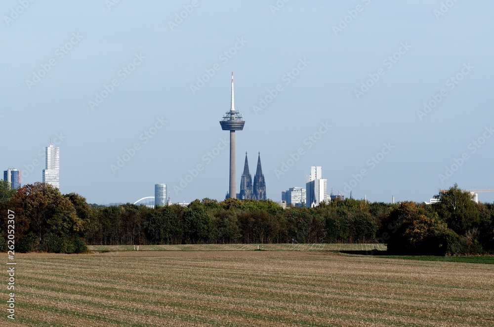 Obraz premium panoramic view of cologne