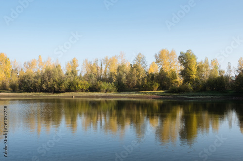 Fototapeta Naklejka Na Ścianę i Meble -  Autumn. Golden lake