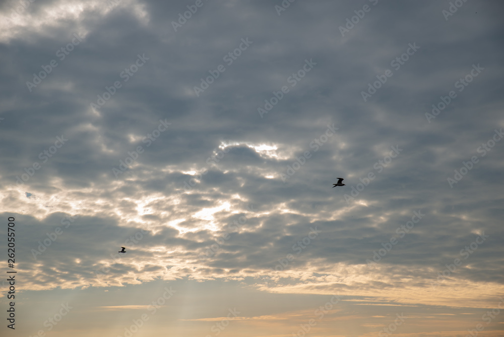 Obraz premium sky with clouds texture on sunrise