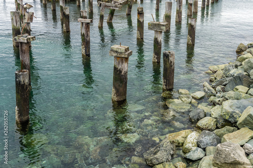 Decaying Pilings Landscape 7