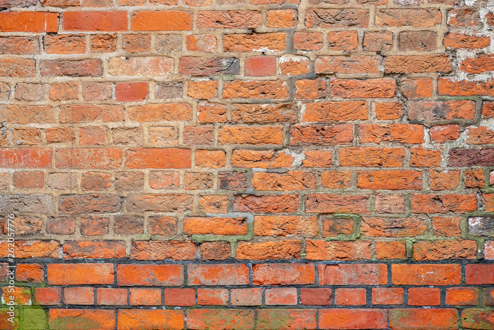 Obraz premium Textur