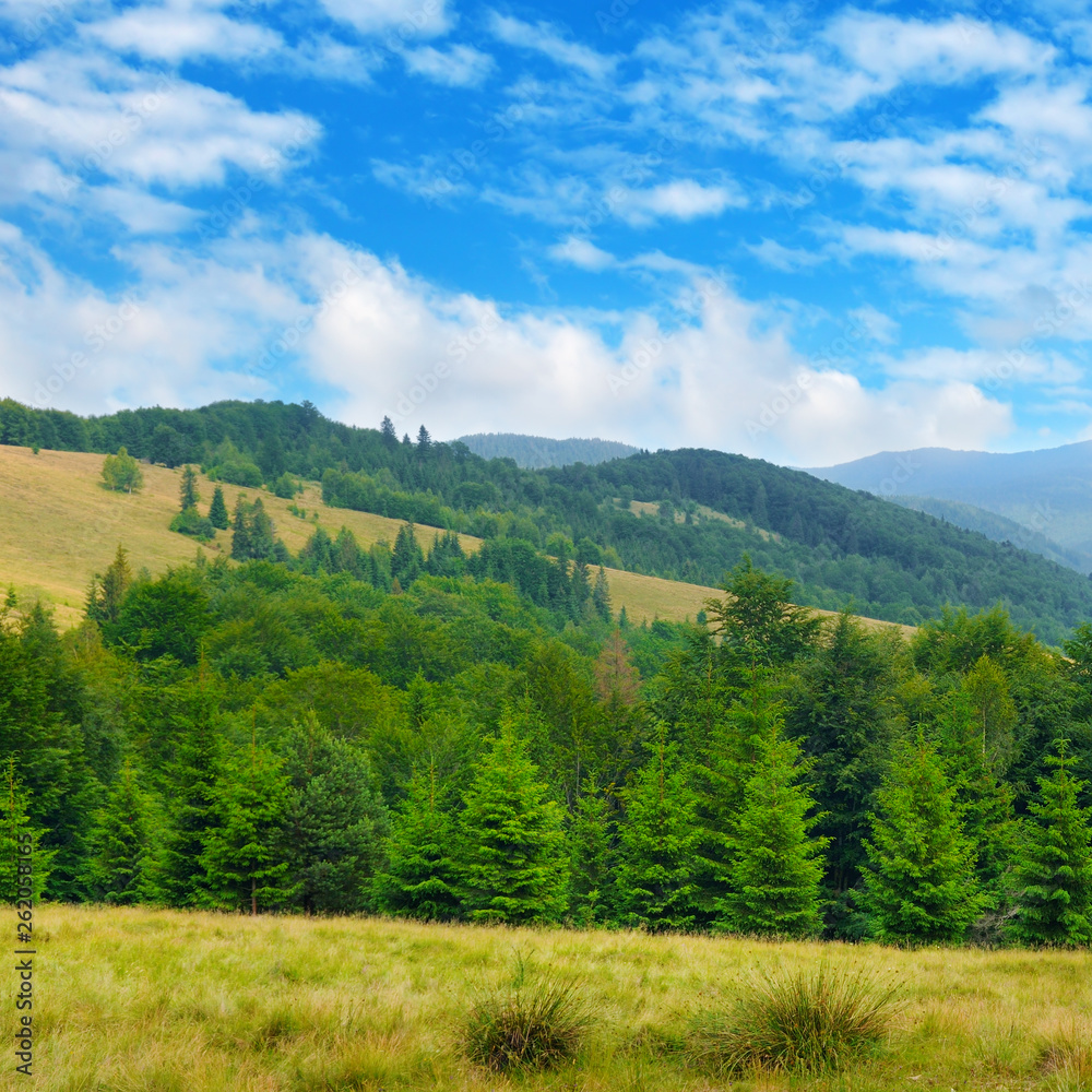 Slopes of mountains, coniferous trees and clouds in the sky.