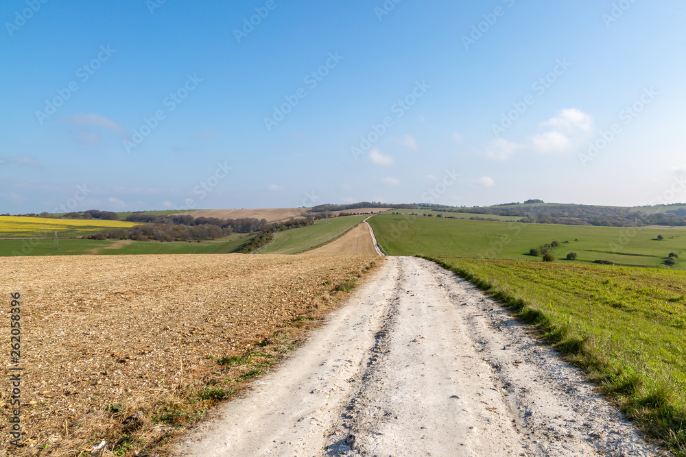 A chalk pathway over Balmer Down in Sussex, on a sunny spring morning