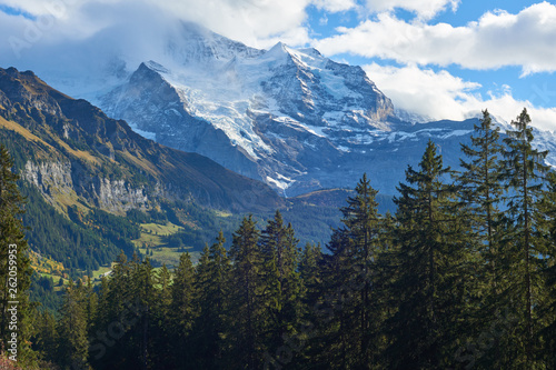 Mountains panorama beyond the trees with Jungfrau peak in the clouds near Swiss alpine village Wengen in Switzerland.