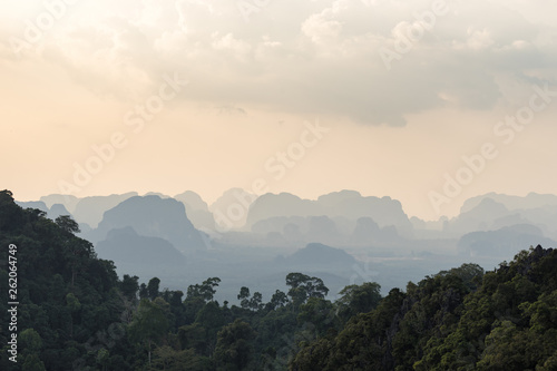 Landscape of silhouettes tropical hazy mountains and the green jungle trees in the foreground