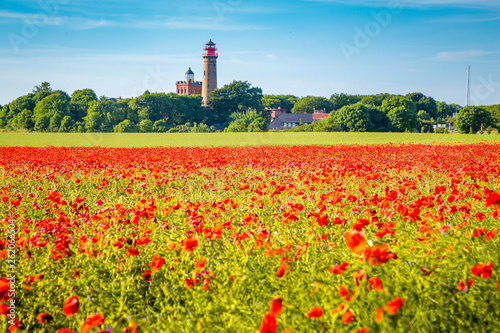 Kap Arkona lighthouse with red poppy flowers in summer  R  gen  Ostsee  Germany