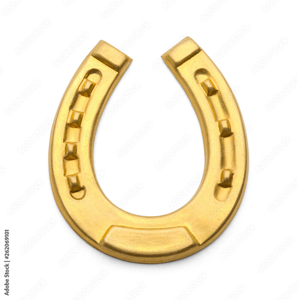 Gold Horse Shoe Gold Horse Shoe