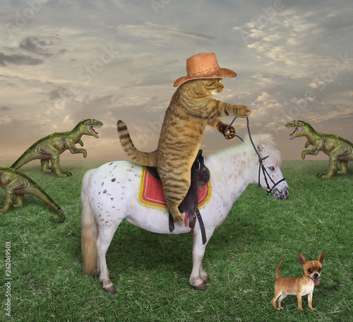 Obraz na płótnie The cat cowboy in boots on a white horse grazes a herd of dragons on the farm