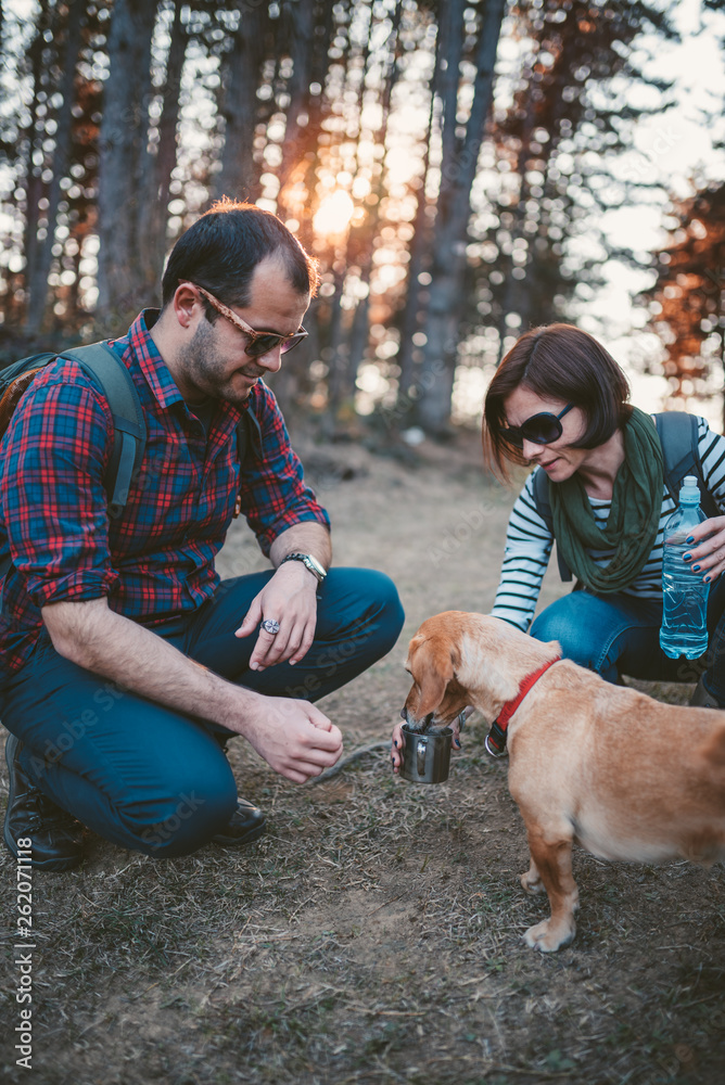 Hikers giving water to her dog in the forest Hikers giving water to her dog in the forest