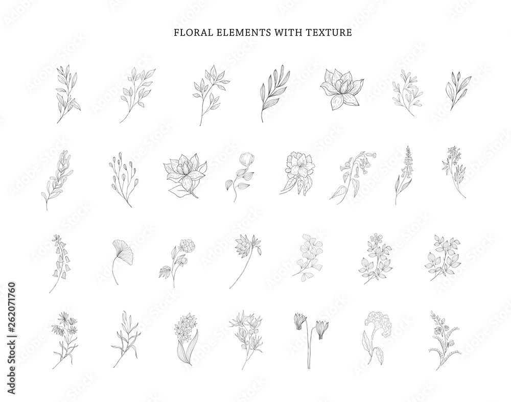 Set of plant branches. Greenery design elements.