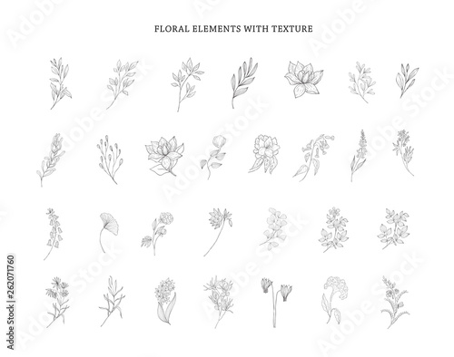 Set of plant branches. Greenery design elements.