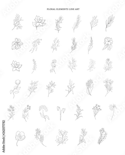 Set of plant branches. Greenery design elements.
