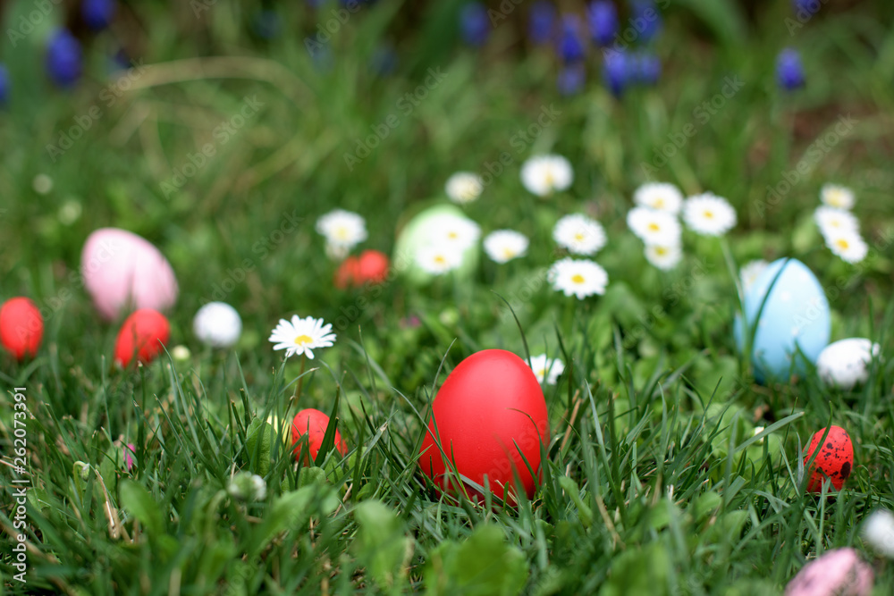 Easter hunt - red egg  in a grass