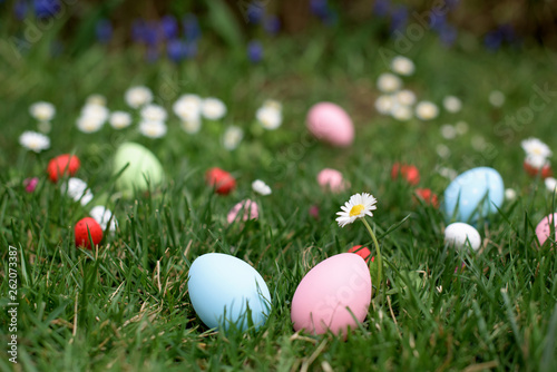 Blue and pink Easter hen eggs in a grass