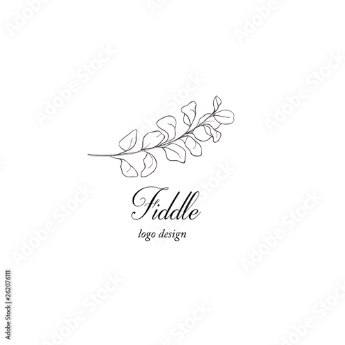 Fiddle plant branch. Greenery design element.