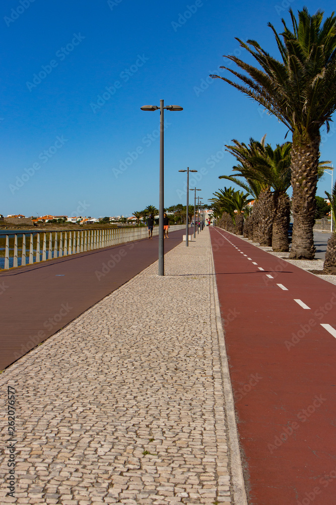 Obraz premium Empty road to beach with palms. Health path along seacoast. Travel and vacation concept. Tropical landscape. Empty street with palm trees. Sunny day in Portugal. Track for run in city.