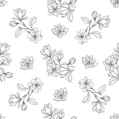 Wandcirkels Bloemenprints patronen Magnolia lijnkunst botanisch patroon  © vectorgirl