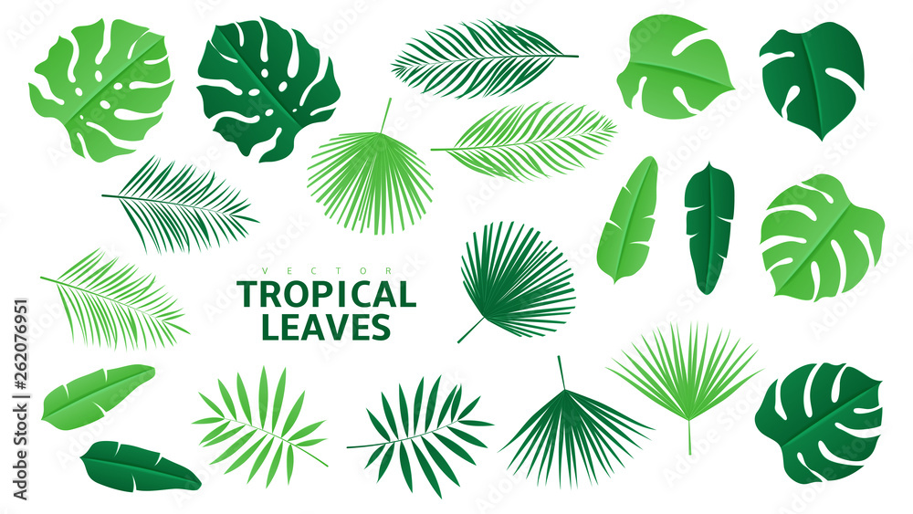Set of tropical green leaves. Vector illustration with tropical leaves in paper cut style isolated on white background.