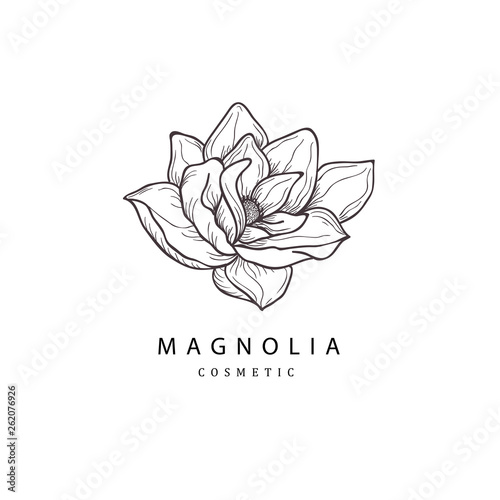 Floral hand drawn design elements. Line art isolated on the white background.