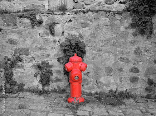 Fire Hydrant standing to attention