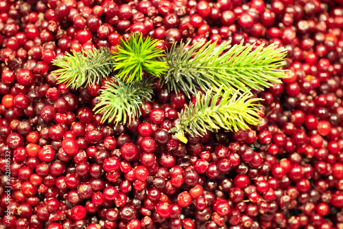 Berries. Cranberry. Berries...
