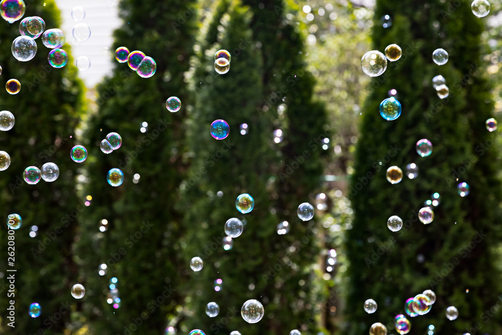 Soap Bubbles against Forest Background Soap Bubbles against Forest Background