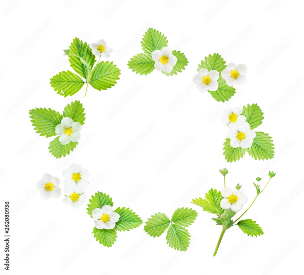Round frame with flowers and leaves of strawberry