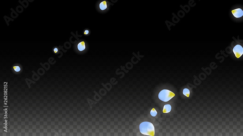 Vector Realistic Blue Petals Falling on Transparent Background.  Spring Romantic Flowers Illustration. Flying Petals. Sakura Spa Design. Blossom Confetti.