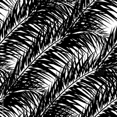 Black vector palm trees. Hand drawn seamless pattern. Summer  tropical palm tree leaves seamless pattern. Abstract nature background