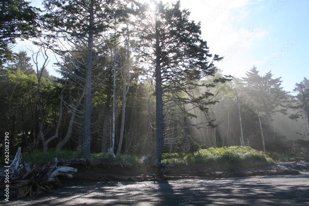 Obraz premium beach sunrays