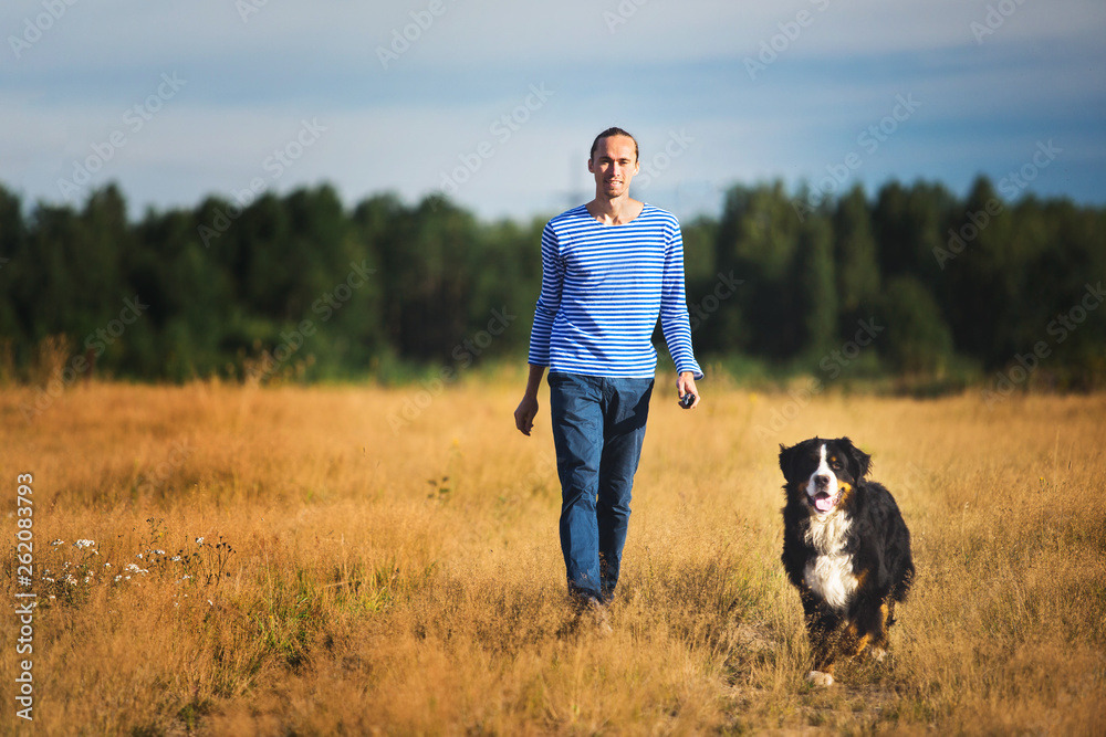young man walking with Bernese Mountain Dog on the summer field