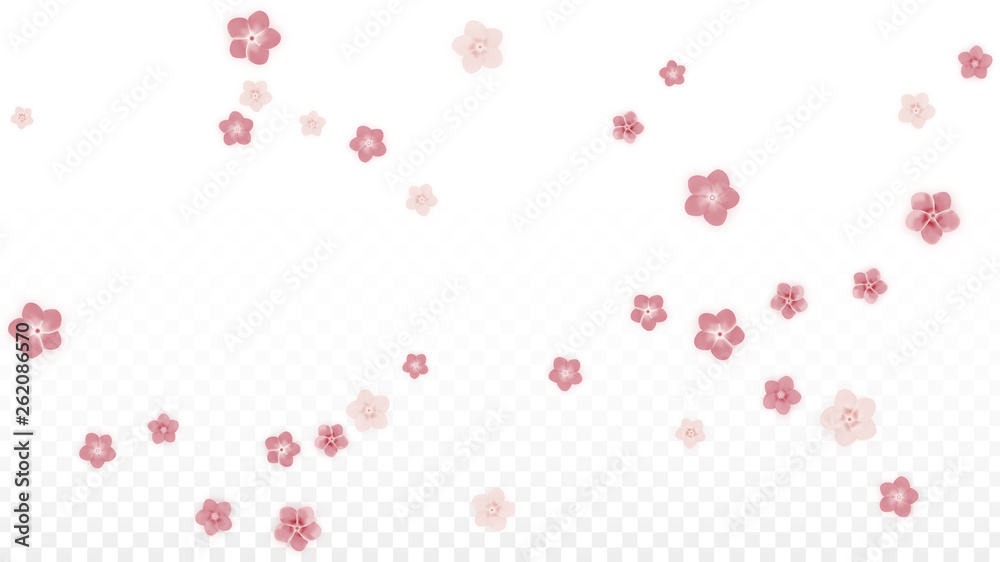 Vector Realistic Pink Flowers Falling on Transparent Background.  Spring Romantic Flowers Illustration. Flying Petals. Sakura Spa Design. Blossom Confetti. Design Elements for Wedding Decoration.