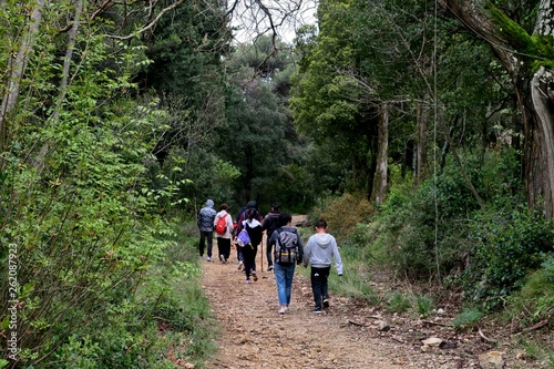 a group of tourists in the forest walk along narrow paths
