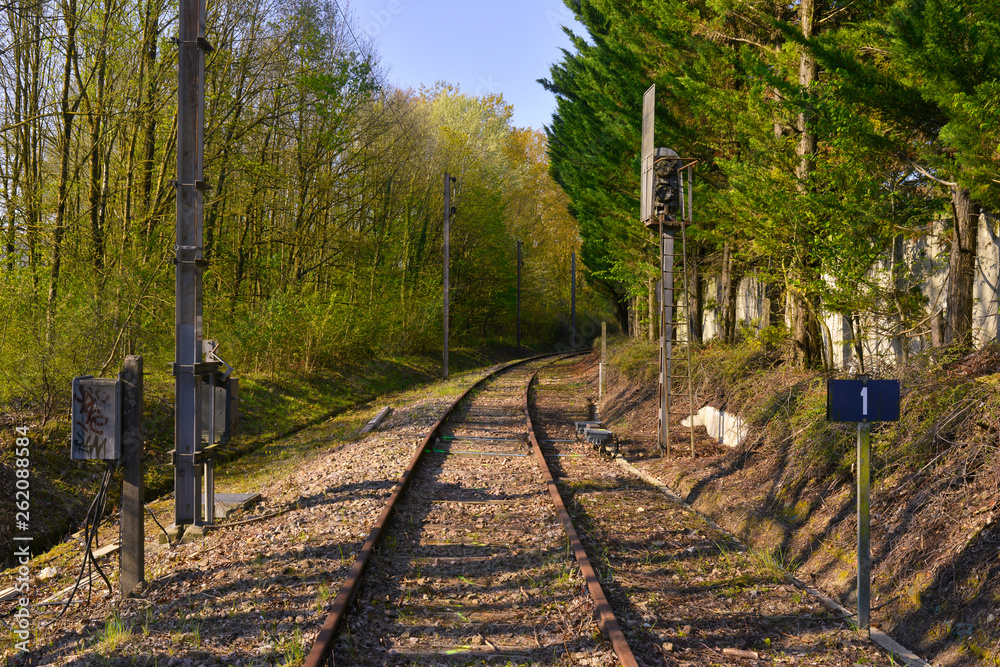 Voie de chemin de fer entre les arbres à Emerainville (77184 ...