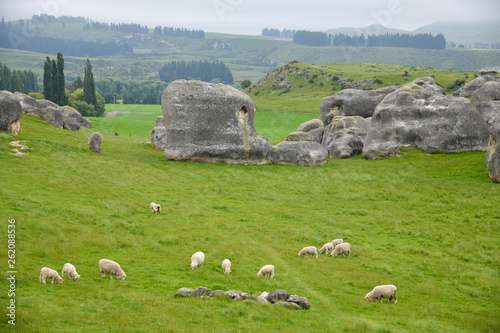 Elephant Rocks New Zealand photo