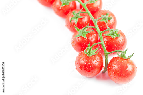 Fresh organic wet cherry tomatoes bunch closeup, isolated on white background.